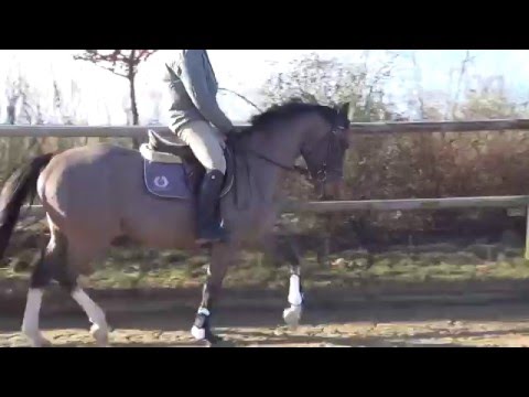 N.N. v. Cormint - Caretino, *12, Trab