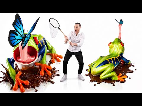 This Chocolate Rain Forest Frog is Safe to Eat