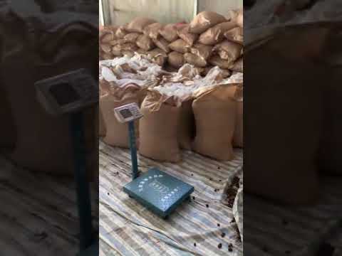 Low rate spices black cardamom badi elaichi for export, pack...