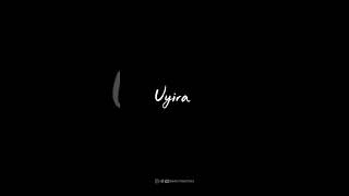 Download lagu Udhungada sangu 😔 lyric video ❤️ full screen Whatsapp status 🔥 Simplywaste143 mp3