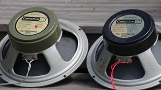 Greenback Vs Blackback Comparison - Shootout