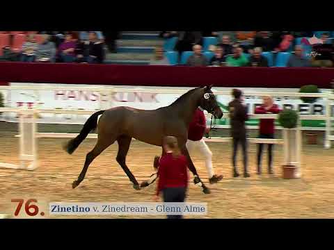 Zinetino v. Zinedream x Glenn Alme x Mentor