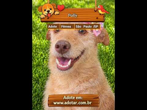 Vídeo de Polly