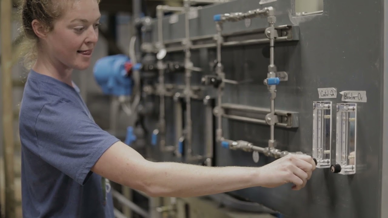 Sustainable Blue, a Land-Based Aquaculture Company