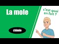 Une MOLE, c'est quoi en fait ?? -- Chimie -- Lycée