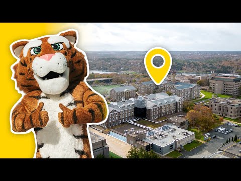 Inside Dalhousie University: Halifax Campus Tour