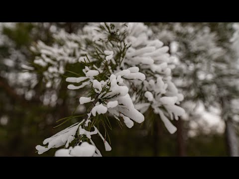 SnowBnB — click to play