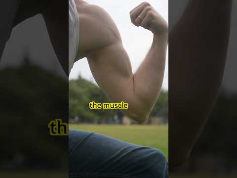 Visible vs Usable Biceps #stayflexy