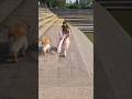 Us Mod Se Shuroo Karein Phir Yeh Zindagi Song Bollywood Shortvideo Pets Ytshorts