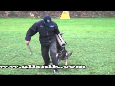 Gazzy Vikar - protection, 15 months