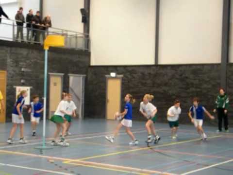 overnemen dijkvogels.mp4