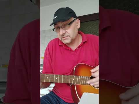 Janko Narat Jenki - Htjela je abortus (cover)