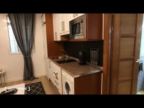 Stylish studio apartment for rent in Centro - Spotahome (ref 203734)