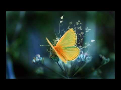 ♫ KUNO´s Uplifting Trance Hour 170 + KUNO - Trancelandscape [The Anthem] (Kiyoi & Eky Remix)