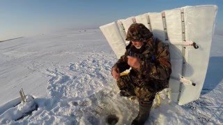 Зимняя рыбалка защита от ветра