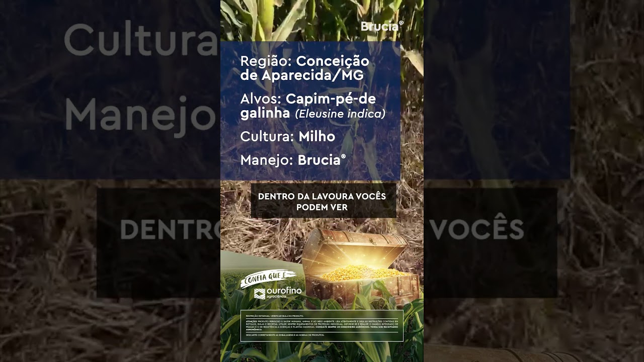 Quando escuta o nome Brucia®, a planta daninha não resiste!