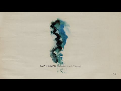 The Memoir - Page 159: Saša Delimar