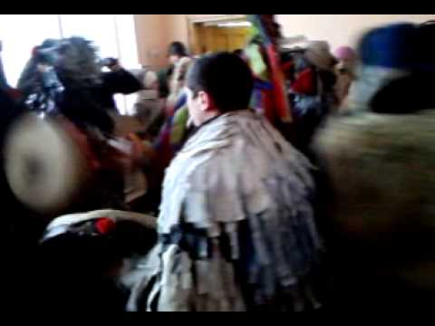 Goiesti comuna lungani 2013