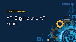 User Tutorial: API Engine and API Scan
