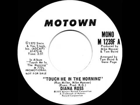 1973 Diana Ross - Touch Me In The Morning (mono radio promo 45--long version)