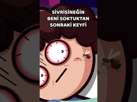 After the Mosquito Stung Me