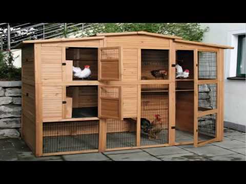 download lagu mp3 mp4 Casas Para Gallinas, download mp3 Casas Para Gallinas free download mp3, download mp3 Casas Para Gallinas