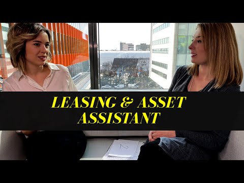 VREI JOB DE LEASING & ASSET ASSISTANT? - Afla de la Maria Tudorica -  Wikipedia Joburilor