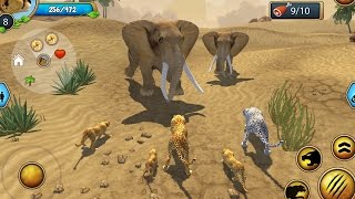 Cheetah Family Sim 3D Android Gameplay HD #1