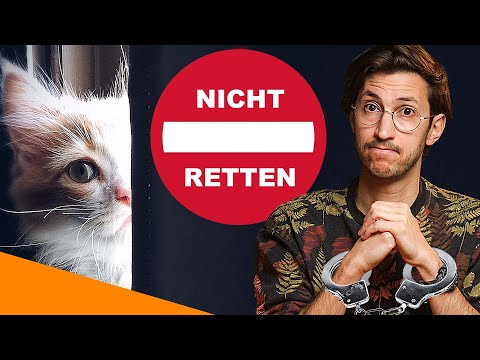 Dieses Video ist ILLEGAL! 🤐  GS-441524 gegen FIP