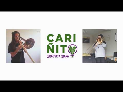 Cariñito (Lila Downs Cover) - Brassica Rapa