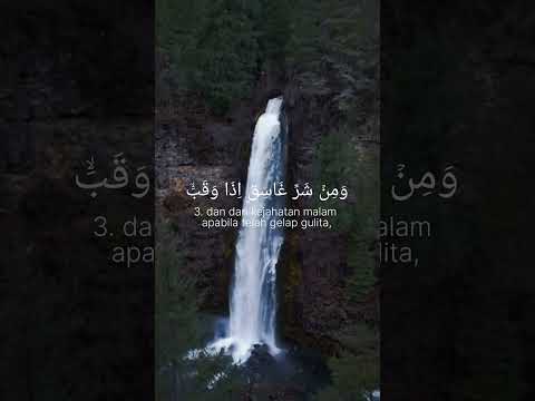 TIK (tholib zandria)