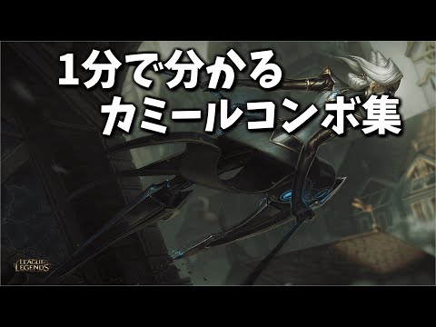 カミール・レイについて詳しく解説