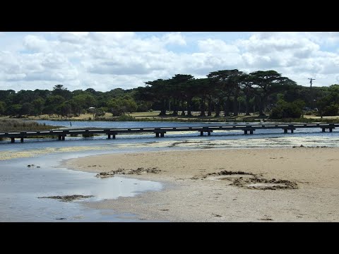 Fishing in a hidden GEM💎