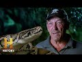 Troy Vs Nesting Burmese Pythons Swamp People Serpent Invasion S4