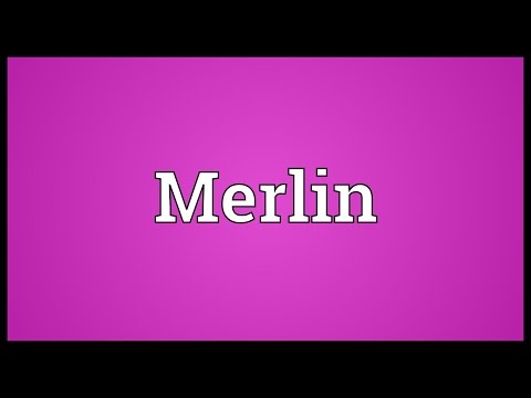 Merlin Meaning