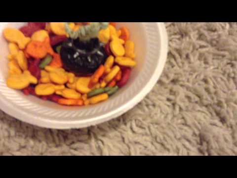 1st episode EVER...... Skylander Shorts Episode 1