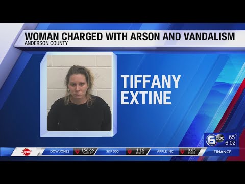 Woman charged with arson and vandalism