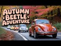 Classic VW BuGs 2025 Fall Foliage Vintage Air-Cooled Cruise