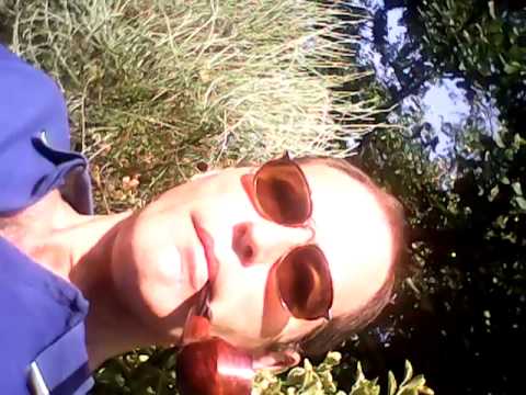 A fine rhodesian pipe...thursday5thsept.2013