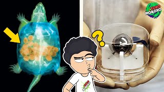 10 Cosas Que Veras Por Primera Vez #14 😲👀 | DeToxoMoroxo