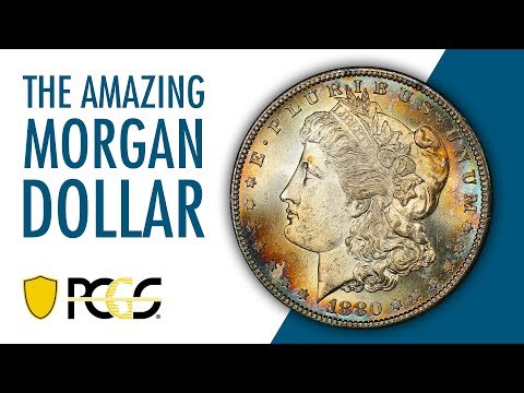The Amazing Morgan Dollar