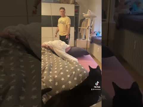 Wenn Hundebesitzer auf Katzen treffen || fmhaneen