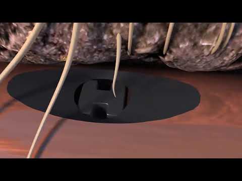 Rain Bird cañería XFS Subterránea en Koslan.