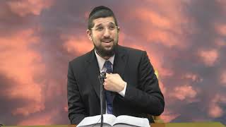 זרע שמשון פרשת משפטים הרב אליהו עמר שליט"א