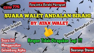 Download lagu SP ST SI ANDALAN BIRAHI ORIGINAL BY ATAX WALET | THIS SOUND IS PERFECT FOR THE PIRO MW-88 AMPLIFIER mp3 Download lagu SP ST SI ANDALAN BIRAHI ORIGINAL BY ATAX WALET | THIS SOUND IS PERFECT FOR THE PIRO MW-88 AMPLIFIER mp3