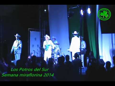 LOS POTROS DEL SUR EN VIVO MIRAFLORES 2014