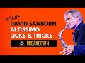 INSANE DAVID SANBORN ALTISSIMO LICKS & TRICKS (# 3 is mind blowing)