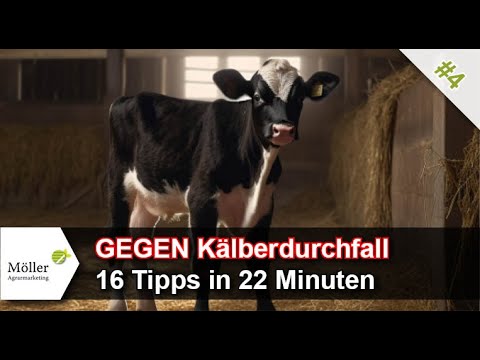 , title : '16 Tipps GEGEN Kälberdurchfall und FÜR gesunde Kälber! Teil #4'