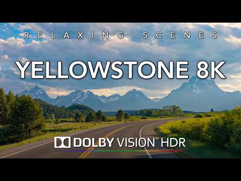 Driving Yellowstone in 8K HDR Dolby Vision - Yellowstone National Park to Jackson Wyoming