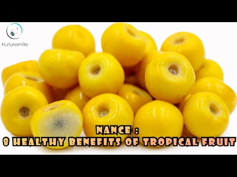 Nance: 8 healthy benefits of tropical fruit || Nance- Nutritional Value, Usage, And Storage